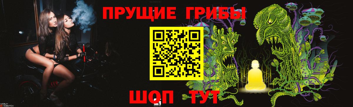 Псилоцибиновые грибы ЛСД Котлас